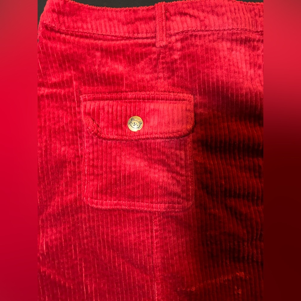 Disneys Turning Red Corduroy Mini Skirt with Fun Graphics curve plus - Picture 3 of 6